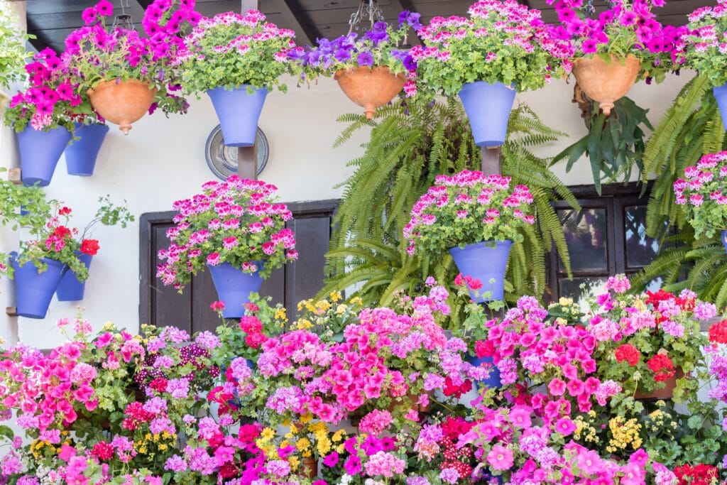 Fleurige bloemstukken in kleurrijke potten tijdens het Anthestiria Flower Festival in Cyprus, waar de lente en wedergeboorte worden gevierd